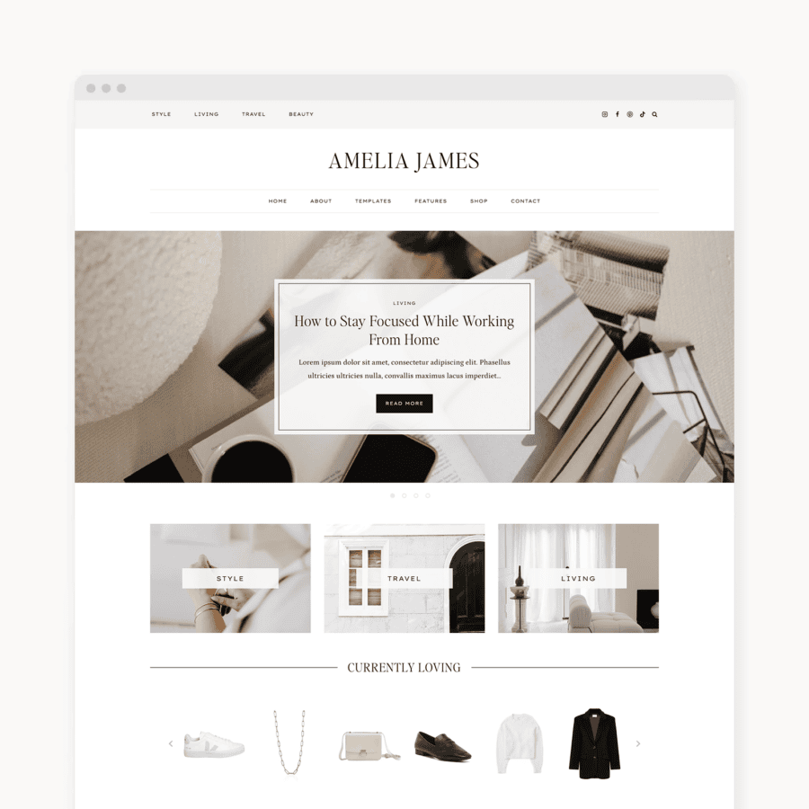 Amelia WordPress Theme