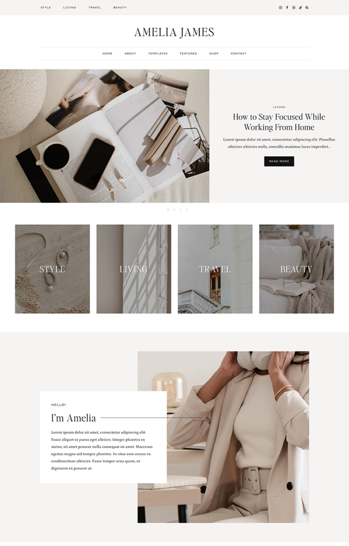 Amelia WordPress Theme